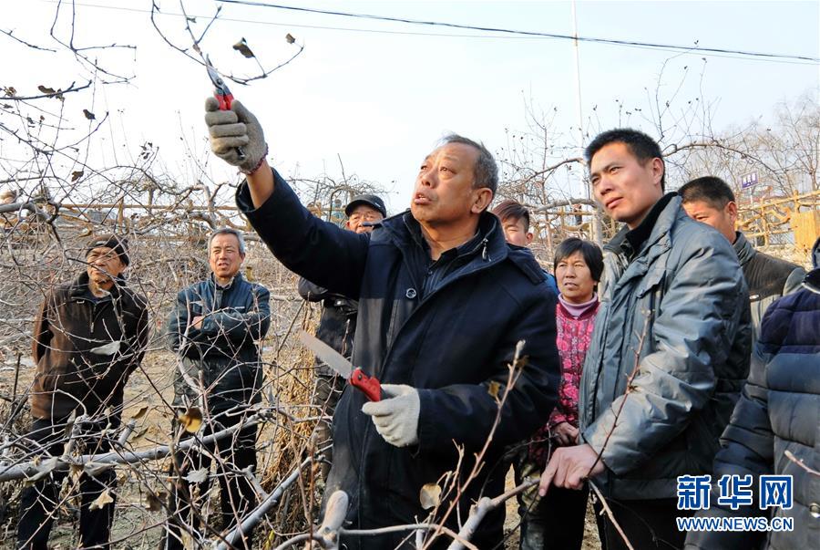 (壮丽70年·奋斗新时代——共和国荣光·图文互动)(2)太行山上的新愚公——记“人民楷模”国家荣誉称号获得者李保国